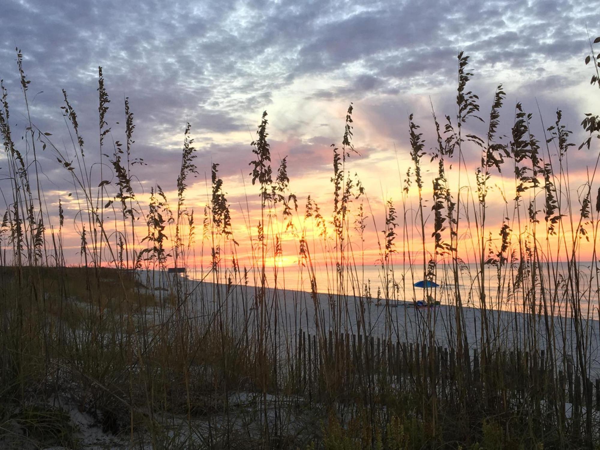 Villa Seahorse 512 Gulf Shores Exterior foto